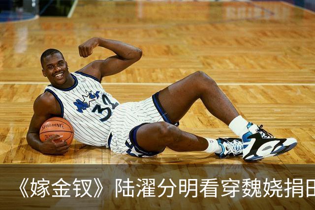 《嫁金钗》陆濯分明看穿魏娆捐田散财是在留后路，为什么还救她？