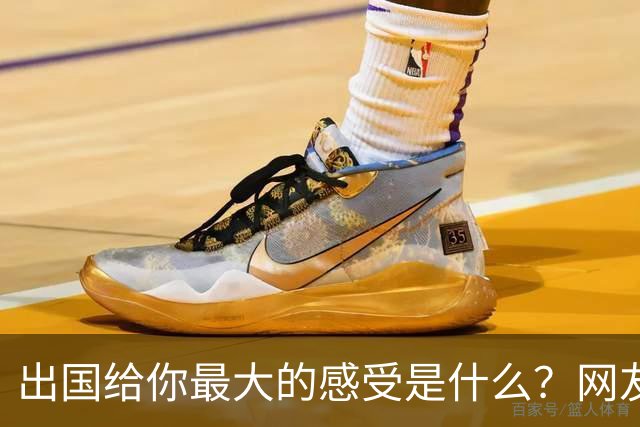 出国给你最大的感受是什么?网友:我姐刚去了趟欧洲,除了那些雕塑,其他就感觉逛县城