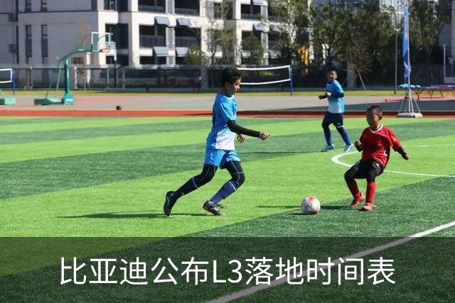 比亚迪公布L3落地时间表