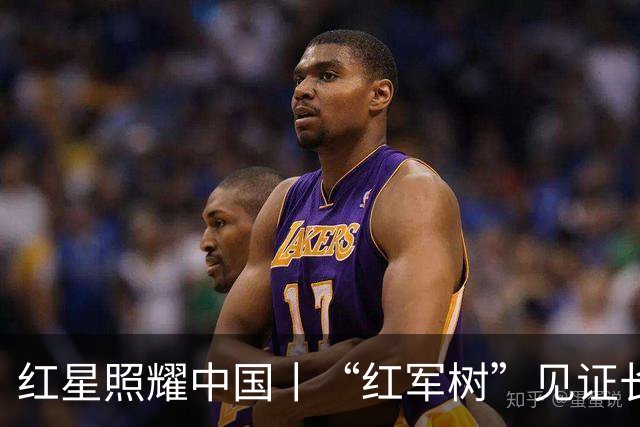 红星照耀中国丨“红军树”见证长征路